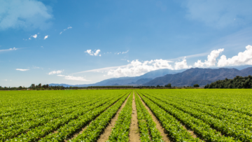 Agriculture