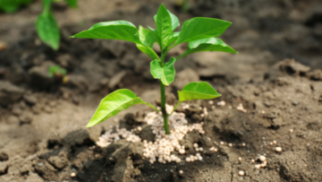 Fertilizer